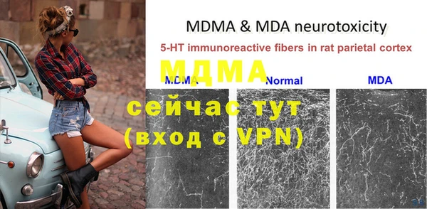 ГАЛЛЮЦИНОГЕННЫЕ ГРИБЫ Абаза