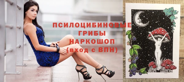 ГАЛЛЮЦИНОГЕННЫЕ ГРИБЫ Абаза