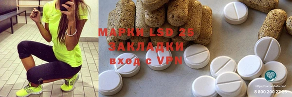 ГАЛЛЮЦИНОГЕННЫЕ ГРИБЫ Абаза